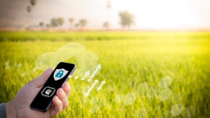 Internet of things security technology with virtual icons. Hand working with Smart phone with blurred wheat field in background.